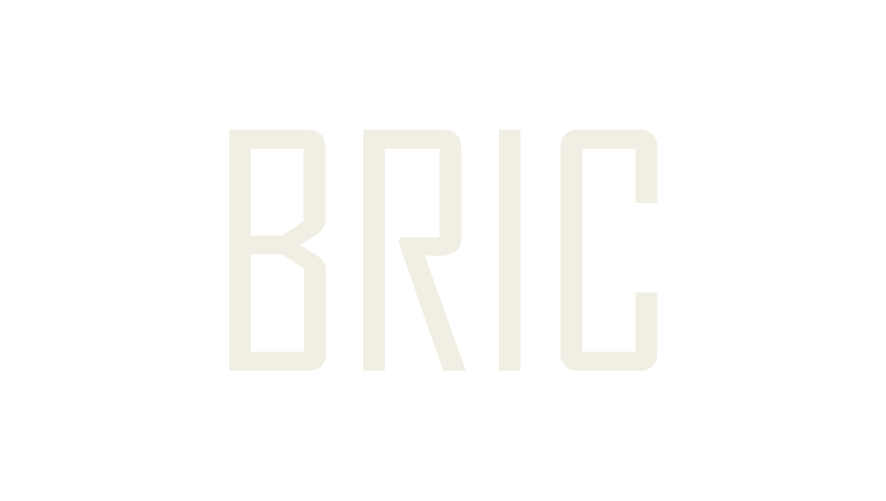 BRIC Foundation
