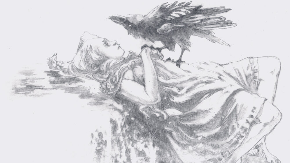 58 Sample Artist claire drawings sketches for Adult